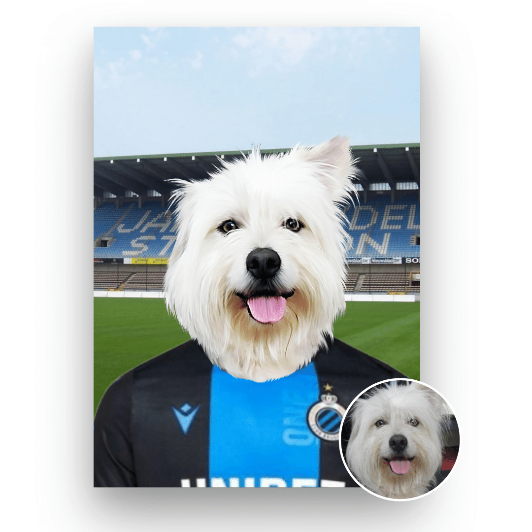 Club Brugge - Pet portrait